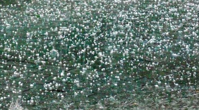 Σαρώνει ο «Δαίδαλος» – Άσπρισαν από το χαλάζι Φθιώτιδα, Κατάκολο και Μαραθώνας (εικόνες)